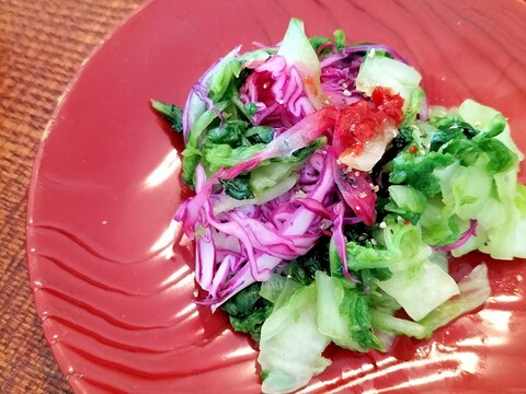 白菜と紫キャベツの柚子豆板醤♩